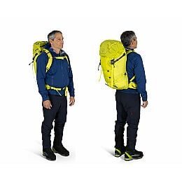 Mutant 38 - US 6243